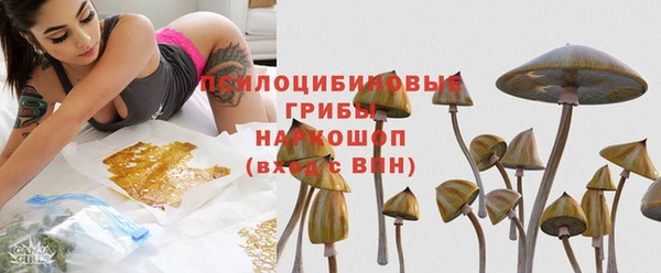дурь Балахна