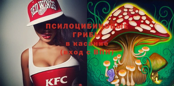 дурь Балахна