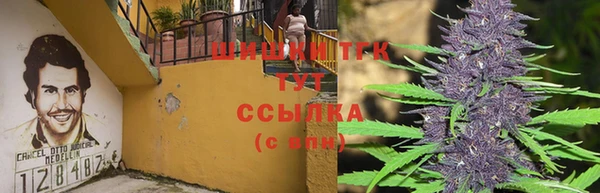 эйфоретик Баксан
