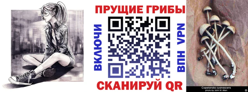 Галлюциногенные грибы мухоморы  Бикин 
