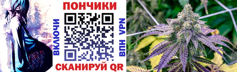 Бошки марихуана индика где можно купить наркотик Бикин
